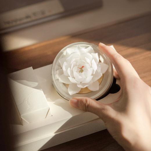 菜菜X呈白瓷花香氛礼盒|是香器也是艺术品，非遗工艺一天只做三朵花 商品图4