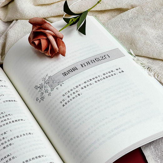 幼儿成长及发展个案研究 幼儿教师培训用书 张亚军 大夏书系 商品图10