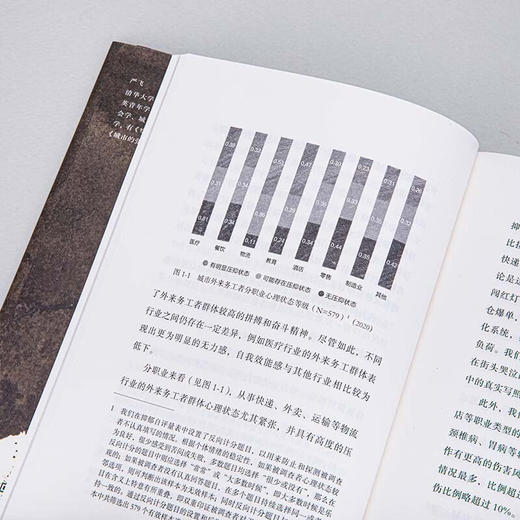 悬浮 异乡人的都市生存 商品图5