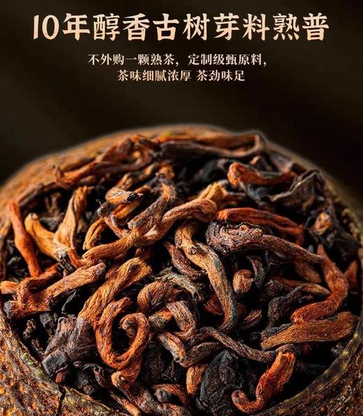 茶妈妈 新会小青柑普洱礼盒装250g 商品图2