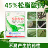 大鹏45%松脂酸钠果树清园茶园清园防治粉介壳虫矢尖蚧杀虫剂农药 商品缩略图1