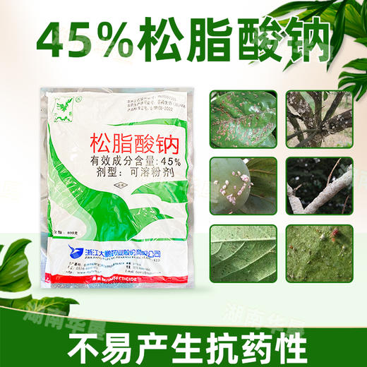 大鹏45%松脂酸钠果树清园茶园清园防治粉介壳虫矢尖蚧杀虫剂农药 商品图1