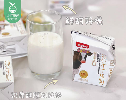 【到手4箱】贝因美雪域跑跑牛纯牛奶/3箱（每箱200ml*10盒）另赠同款1箱生产日期：3月6日左右 商品图1
