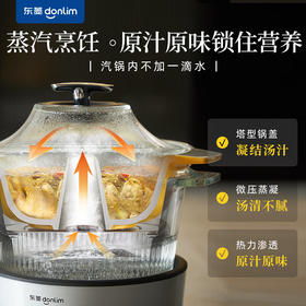 东菱（Donlim） 蒸汽锅 电炖锅 汽锅 家用电蒸锅 多功能蒸炖锅 隔水炖盅 云南汽锅鸡（煮锅+汽锅）DL-9009