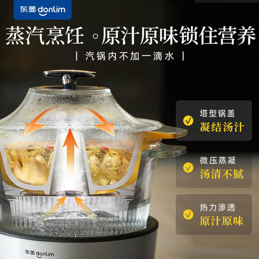 东菱（Donlim） 蒸汽锅 电炖锅 汽锅 家用电蒸锅 多功能蒸炖锅 隔水炖盅 云南汽锅鸡（煮锅+汽锅）DL-9009 商品图0