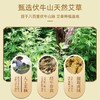 黄金艾柱-直接4CM*2.8CM 艾烟小 穿透力强原价57.6元会员价48元 商品缩略图3
