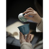 永利汇手绘游鱼盖碗清水蓝色陶瓷茶碗 莲花元素文人器泡茶碗 商品缩略图1