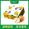 PAGODA百果园 冰糖梨（大果）7斤9粒礼盒装（净重3.5kg） 商品缩略图4