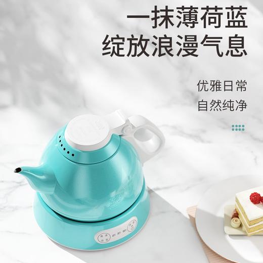 永利汇保温一体自动恒温电热水壶泡茶专用不锈钢家用电茶壶吉谷 商品图3