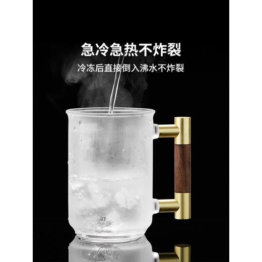 永利汇玻璃泡茶杯耐高温带把茶水分离办公室个人花茶杯家用杯子 商品图3
