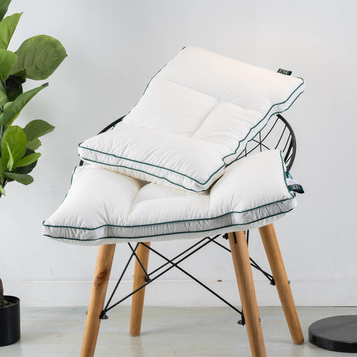 远梦A类生物绒定型分区枕 商品图0