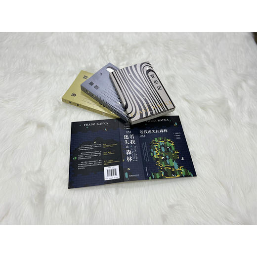 《若我迷失在森林：卡夫卡荒诞三部曲》套装共3册 商品图1