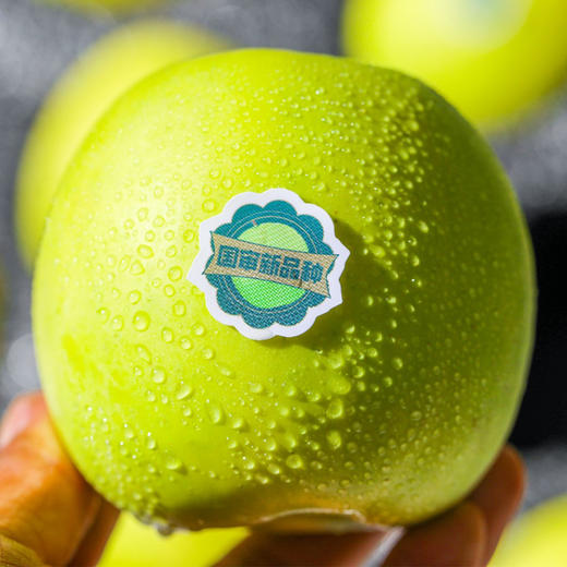 【西农大科研新品种】陕西正宗瑞雪苹果  纯甜玫瑰香味苹果 应季水果 顺丰包邮 商品图4