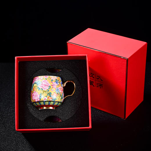 永利汇陶瓷有耳喝茶杯带杯托茶杯六只装咖啡杯具茶具套装泡茶杯 商品图3