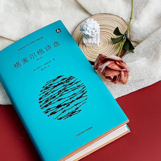 格奥尔格诗选 精装 外国诗歌 文学研究 莫光华翻译 商品图4