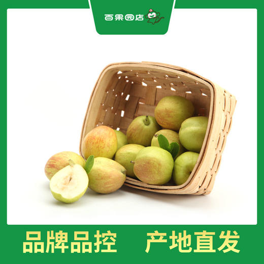 PAGODA百果园 A级-孔雀河畔香梨（大）5斤装 商品图1