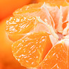 橘子界的天花板 欢姑娘甄选 涌泉高山蜜桔 商品缩略图0