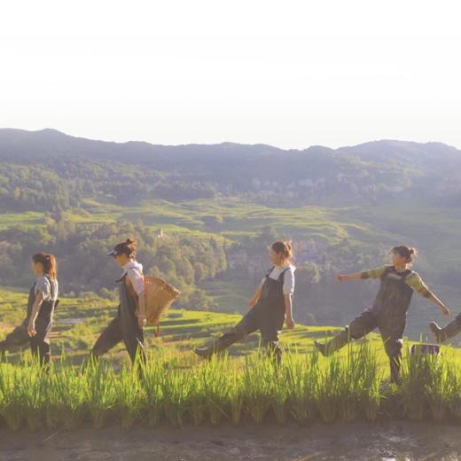 隐世建水 | 云南昆明·建水·元阳·弥勒5天4晚【go小团】 商品图3