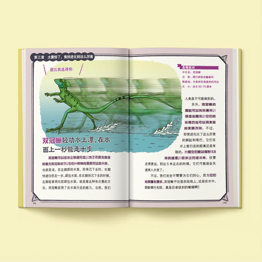 “今泉忠明动物小百科”系列（全3册） 商品图4