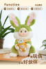 【晴光-DOJI 】电动毛绒兔子 娃娃女孩花园兔樱花兔萝卜兔 商品缩略图4