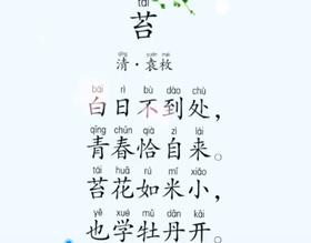 古诗 苔 朗诵