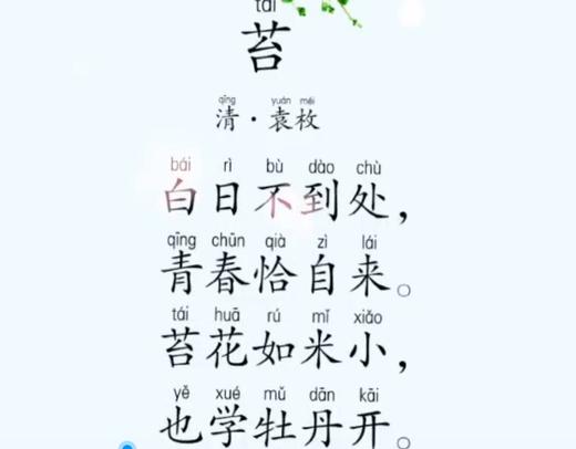 古诗 苔 朗诵 商品图0