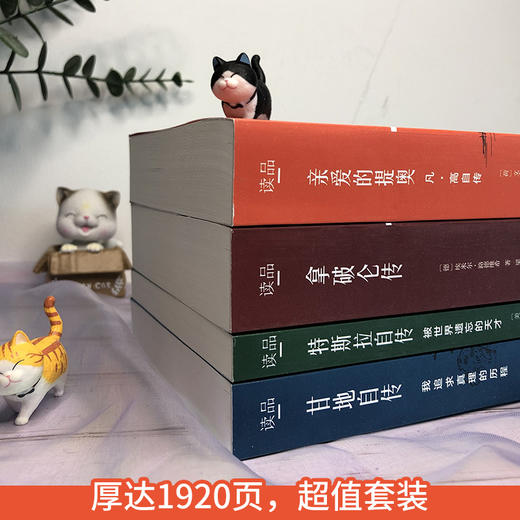 国外人文传记·珍藏版（4册）甘地自、凡·高自、特斯拉、拿破仑 商品图4