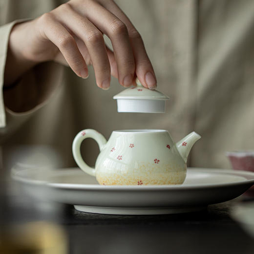 永利汇手绘文人陶瓷茶壶泡茶功夫茶具釉下彩冬青手执壶球孔过滤 商品图4