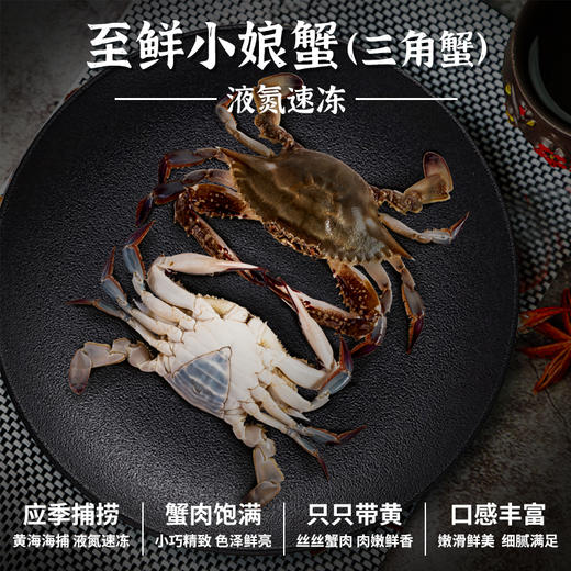 至鲜小娘蟹（三角蟹）460g/4只 当季捕捞  液氮速冻  小巧精致  只只带黄 商品图0