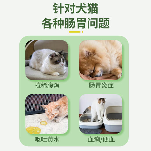 BARRBERT克痢肽25ml液态谷氨酰胺 调理肠胃 止泻肠炎 草莓味 易喂食 商品图3