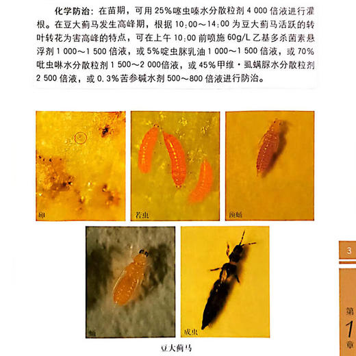 蔬菜害虫识别与防治彩色图谱 邱海燕 刘奎主编 中国农业出版社 正版保证【官方正版，可开发票，下单时留开票信息和电子邮箱】 商品图2