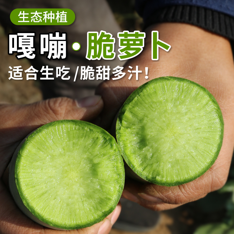 密农人家 嘎嘣脆绿萝卜脆甜微辣 水分足 农家水果萝卜  可凉拌可生吃