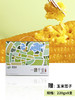 甄食在 一糯千金 黄糯玉米 礼盒装 220g*8穗 商品缩略图1