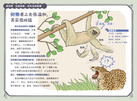 “今泉忠明动物小百科”系列（全3册） 商品图11
