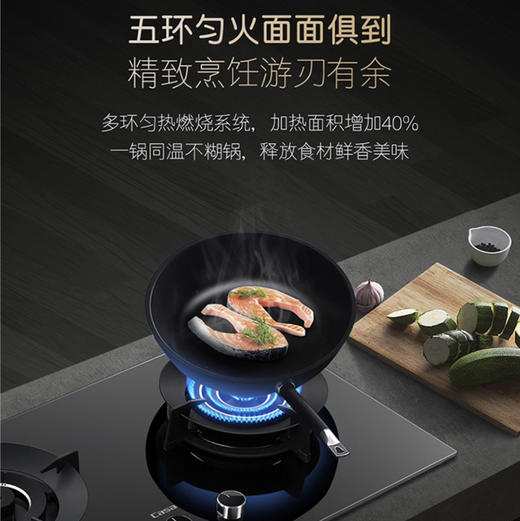 卡萨帝（Casarte）灶具 JZT-C5G78EGU9 商品图14