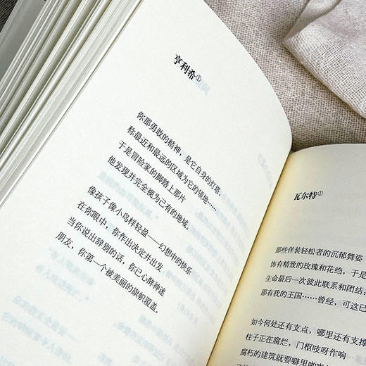 格奥尔格诗选 精装 外国诗歌 文学研究 莫光华翻译 商品图8