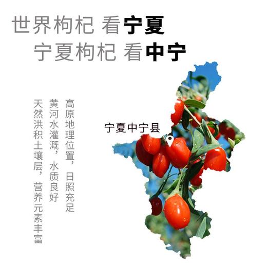 杞果小圣红枸杞580g精品礼盒-YGF 商品图2