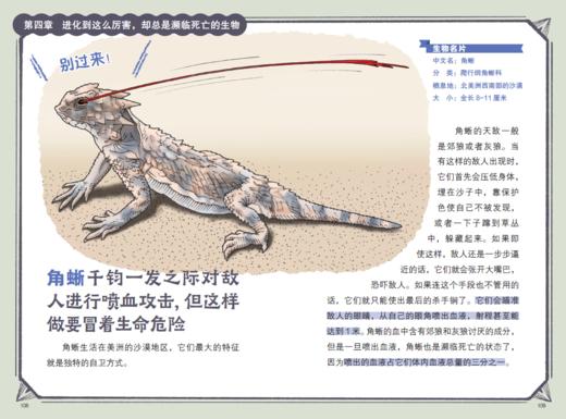 “今泉忠明动物小百科”系列（全3册） 商品图13