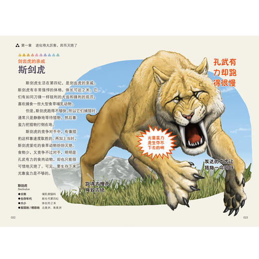 “今泉忠明动物小百科”系列（全3册） 商品图7