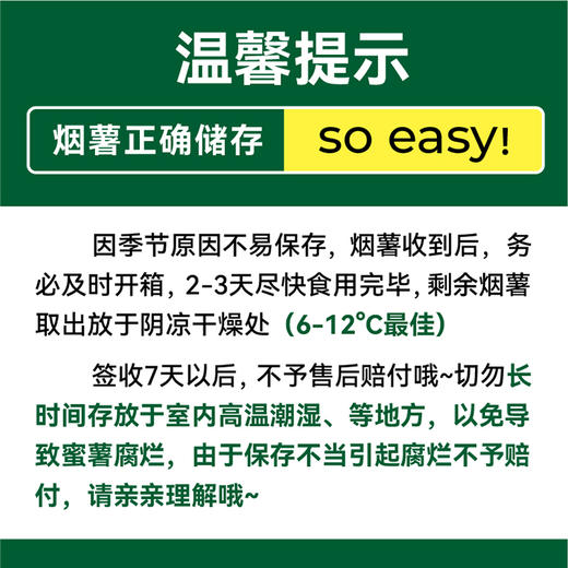 【绿行者】山东烟薯25号蜜薯5斤红薯糖心番薯新鲜地瓜 商品图3