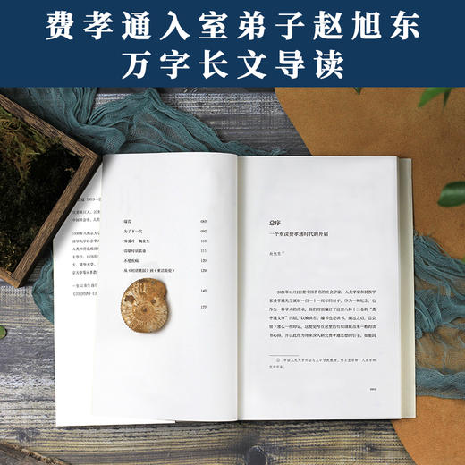 重访英伦（湘）费孝通 商品图3