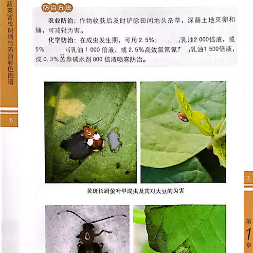 蔬菜害虫识别与防治彩色图谱 邱海燕 刘奎主编 中国农业出版社 正版保证【官方正版，可开发票，下单时留开票信息和电子邮箱】 商品图3