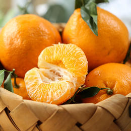 四川春见耙耙柑|比橙清甜、比橘脆嫩，酸甜多汁，好吃不上火|柑橘