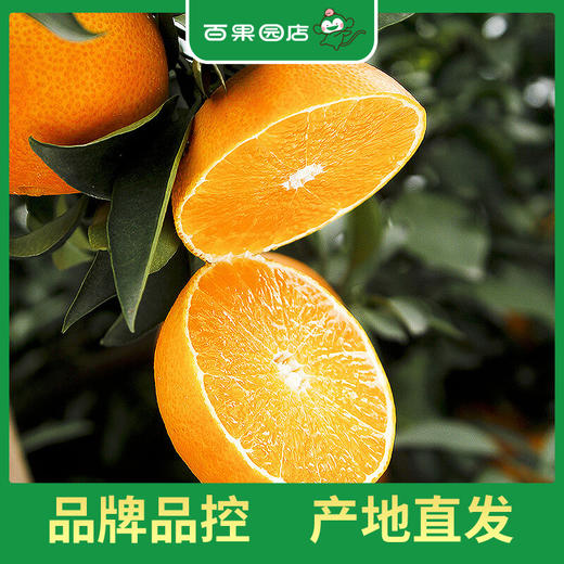 PAGODA百果园 爱媛果冻橙3斤尝鲜装（单果径60-70mm） 商品图1