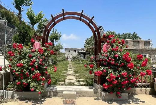 青岛慢姑娘王台山庄别墅轰趴 商品图14