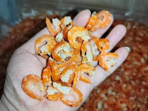 大连特产 当地纯淡干大海米，淡盐虾米，300g/袋，可以用来当零食凉拌菜，海鲜干货，全国包邮（偏远地区除外） 商品图1