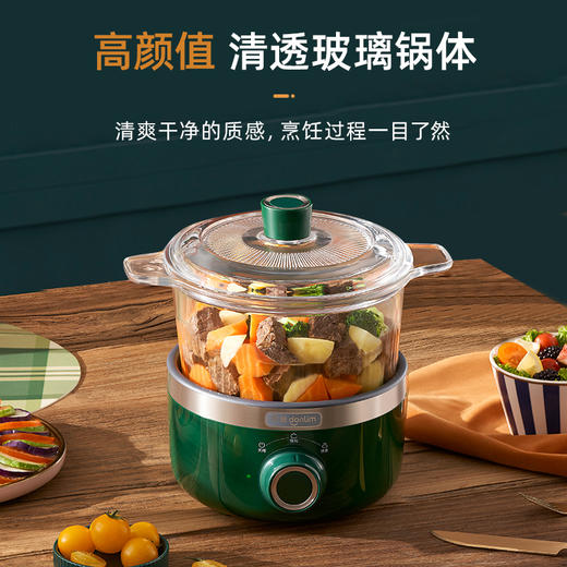 东菱（Donlim） 电炖锅 煲汤燕窝隔水炖盅 养生隔水小炖锅 BB煲汤小锅 玻璃电炖锅 食补养颜DL-9002(森野绿) 商品图0