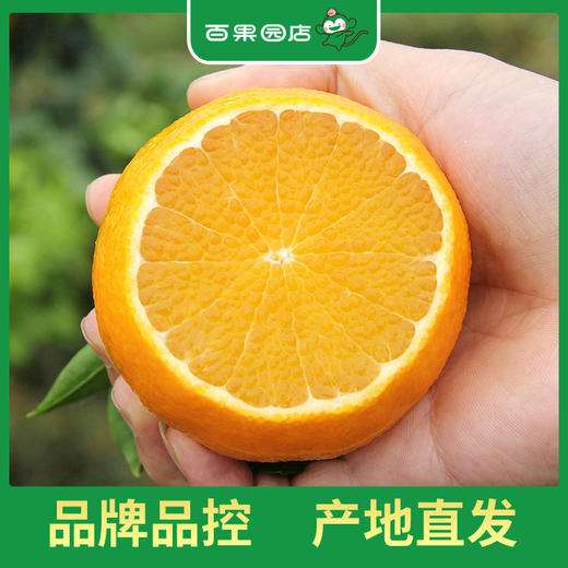 PAGODA百果园 爱媛果冻橙3斤尝鲜装（单果径60-70mm） 商品图2