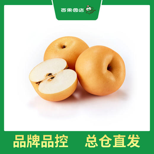 PAGODA百果园 冰糖梨（大果）7斤9粒礼盒装（净重3.5kg） 商品图3