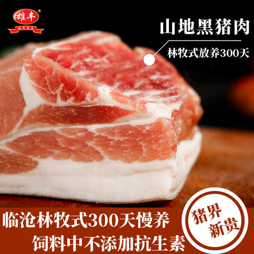 雄丰山地黑猪肉爆汁烤肠400g*5盒共40根纯肉肠火山石地道肠香肠 商品图3